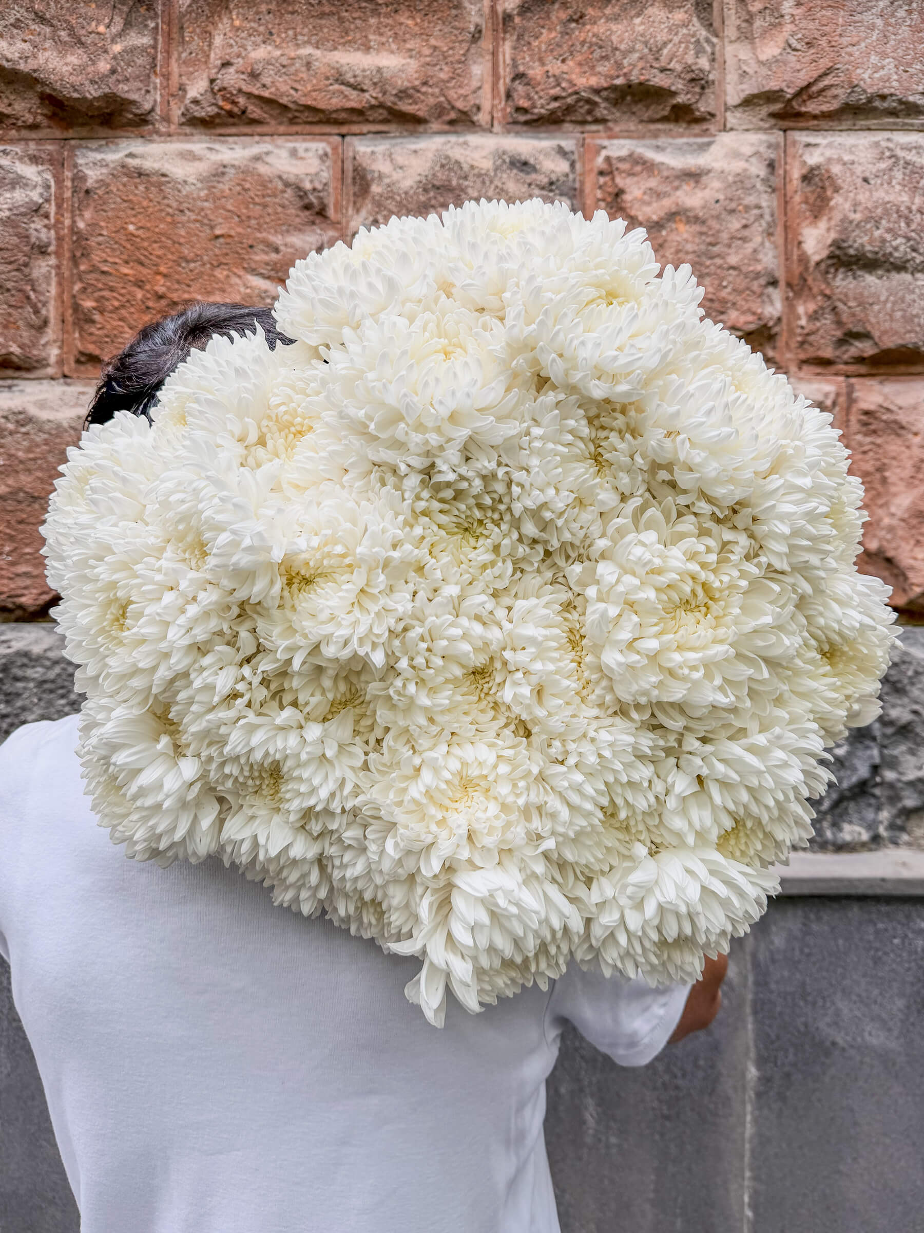 31 White Chrysanthemums - Pure and Elegant Bouquet - Image 1 of 2 | Flowers Theory