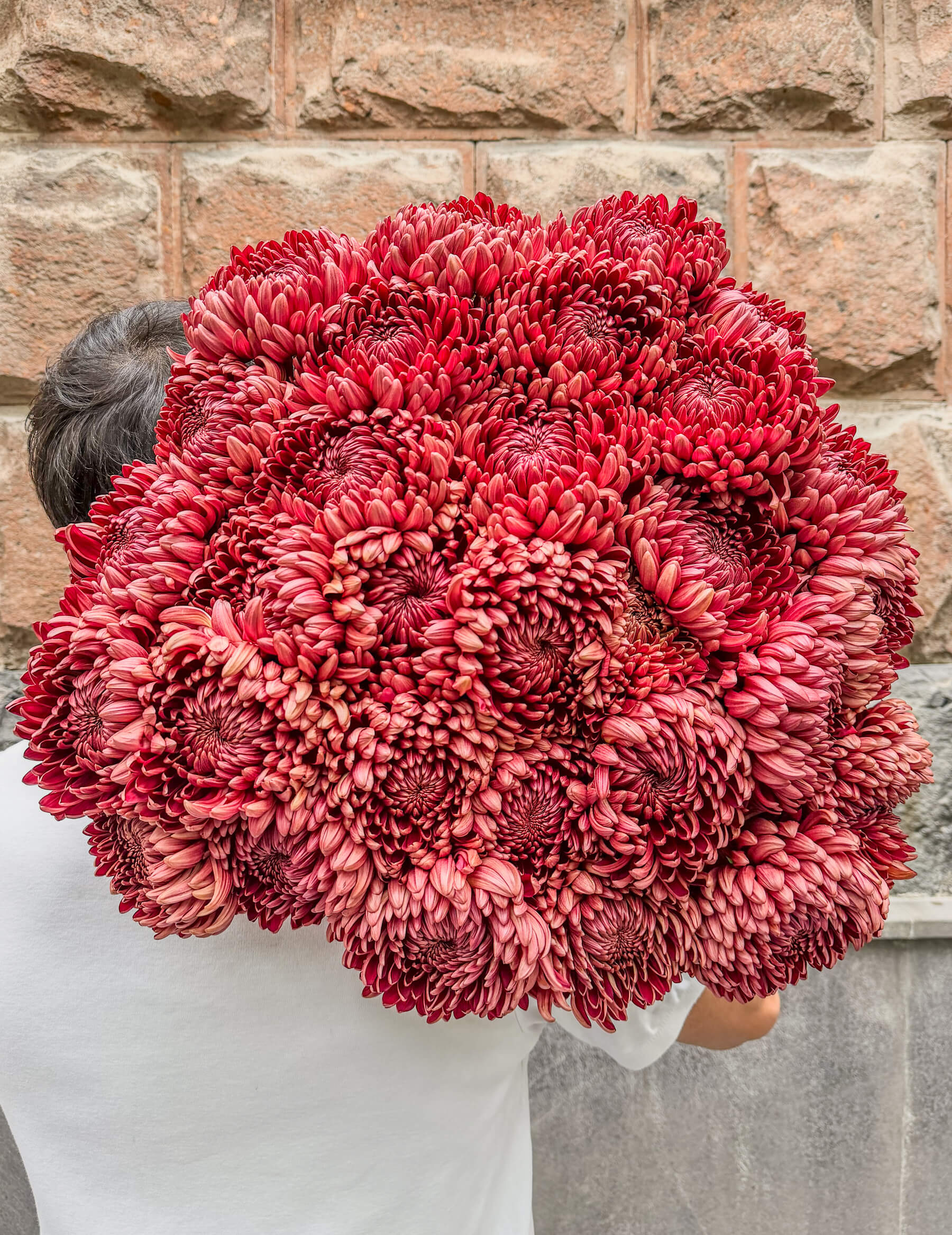 31 Burgundy Chrysanthemums - Elegant Flower Bouquet - Image 1 of 2 | Flowers Theory