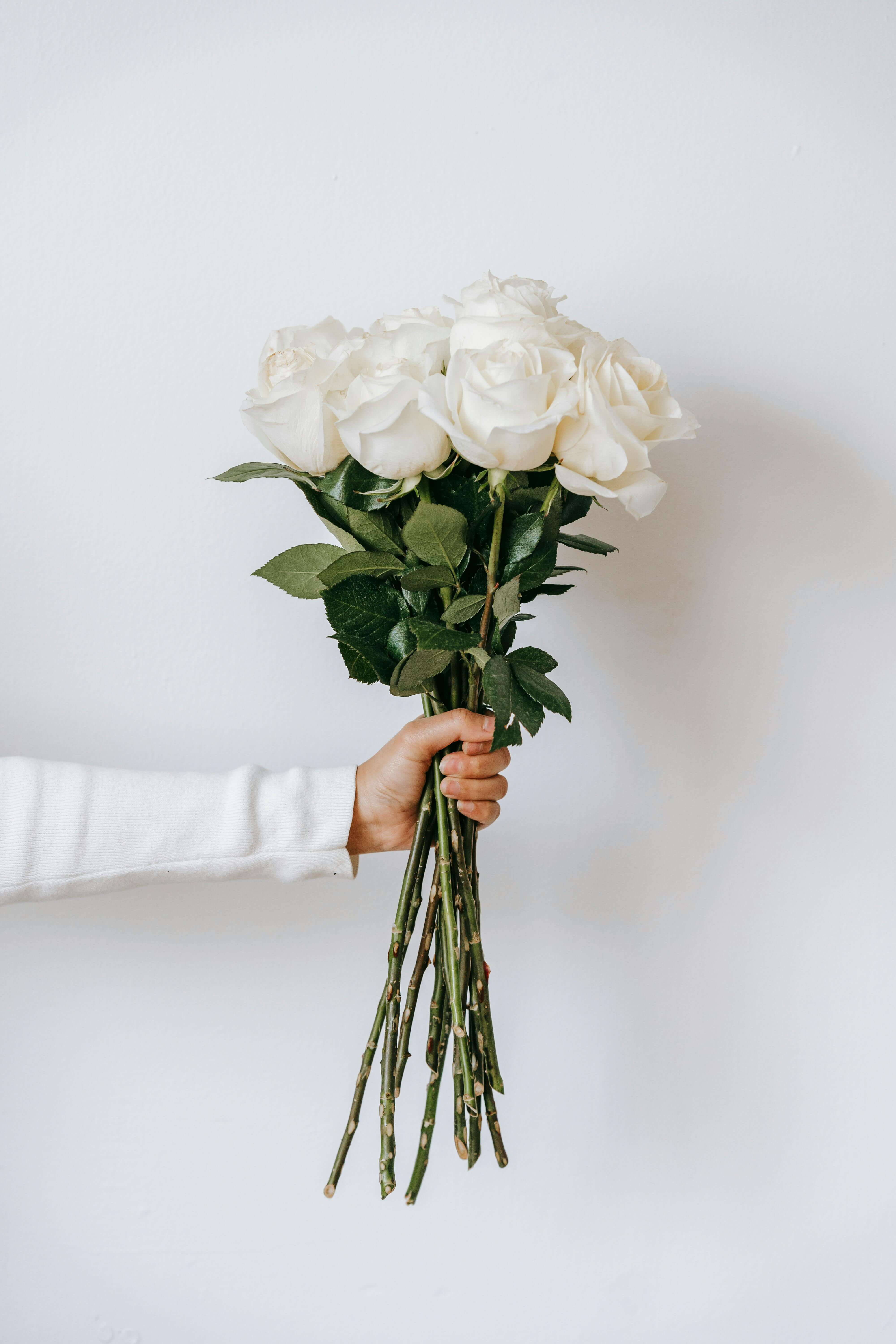 Flower care
