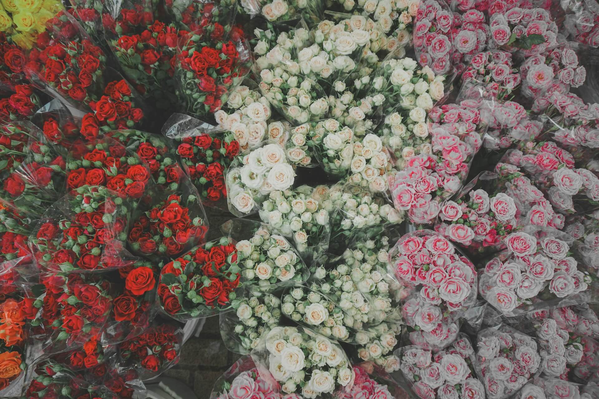 What Do Different Flowers Mean Quick Guide