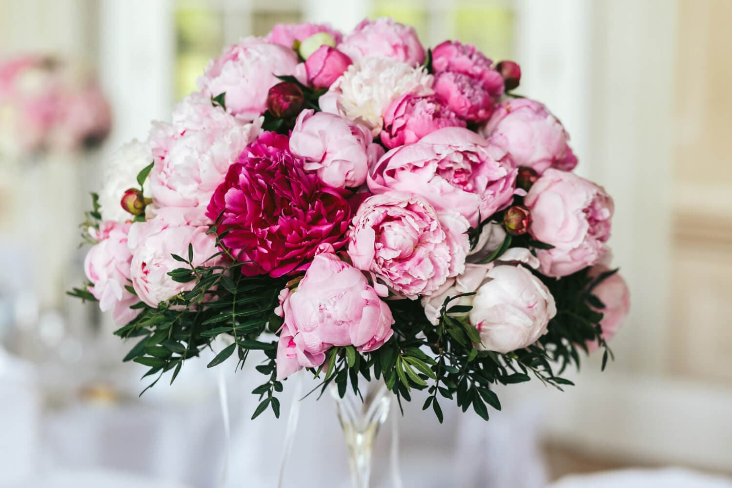 Pink Peonies Meaning: Love, Elegance and Joy in Bloom
