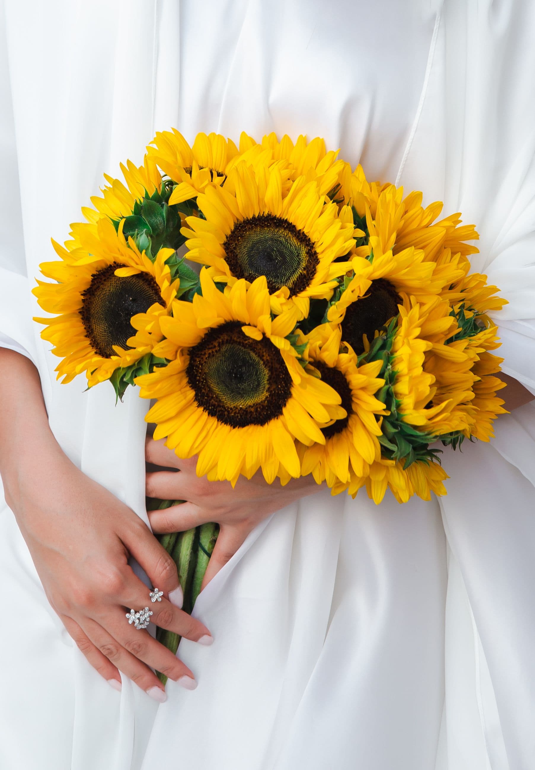 Why Sunflowers Form the Ultimate Summer Aesthetic