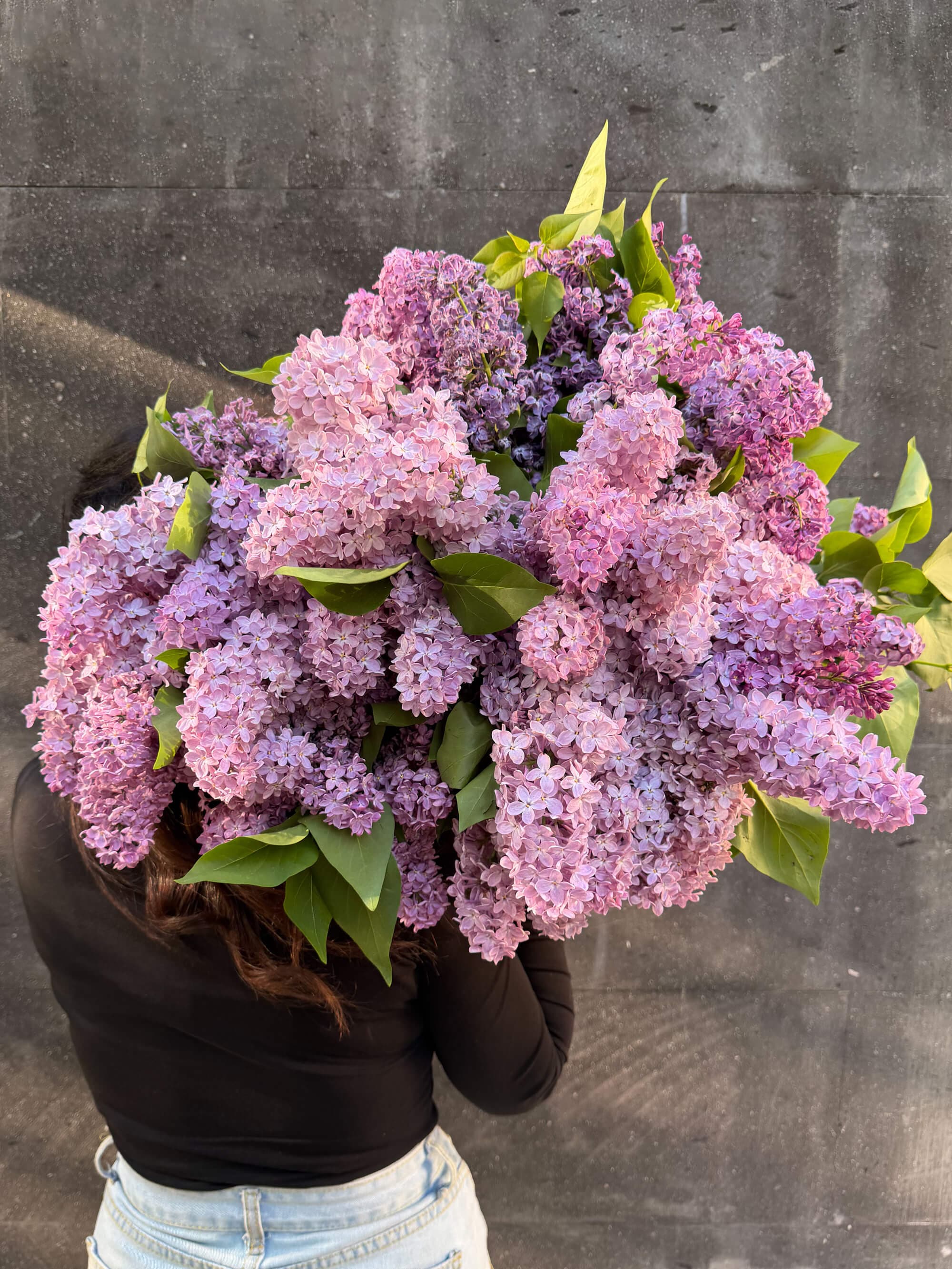 Lilac bouquet in deep purple and violet spring tones