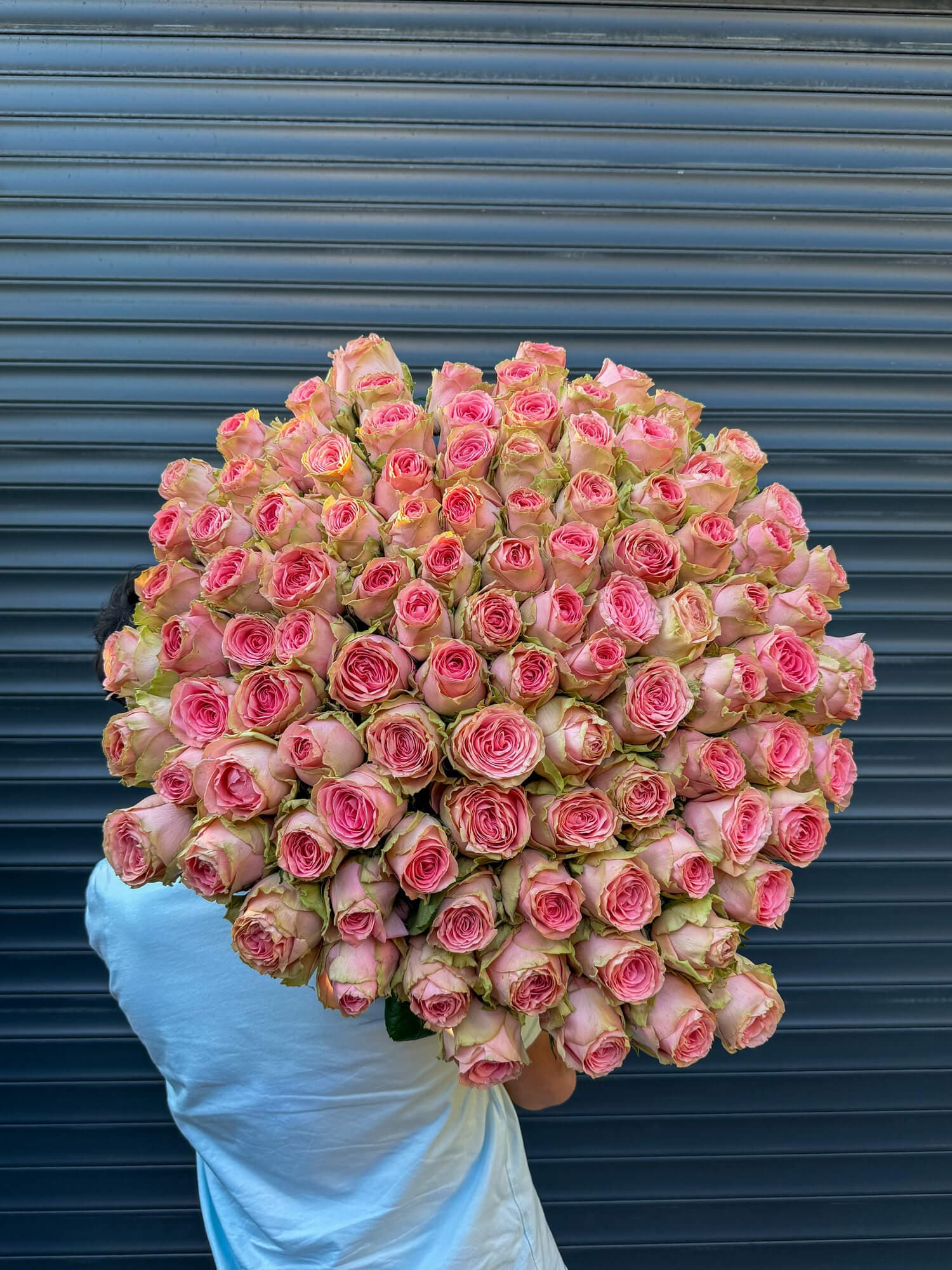 101 Roses Sophie Loren 90cm | Same-Day & 24/7 Delivery