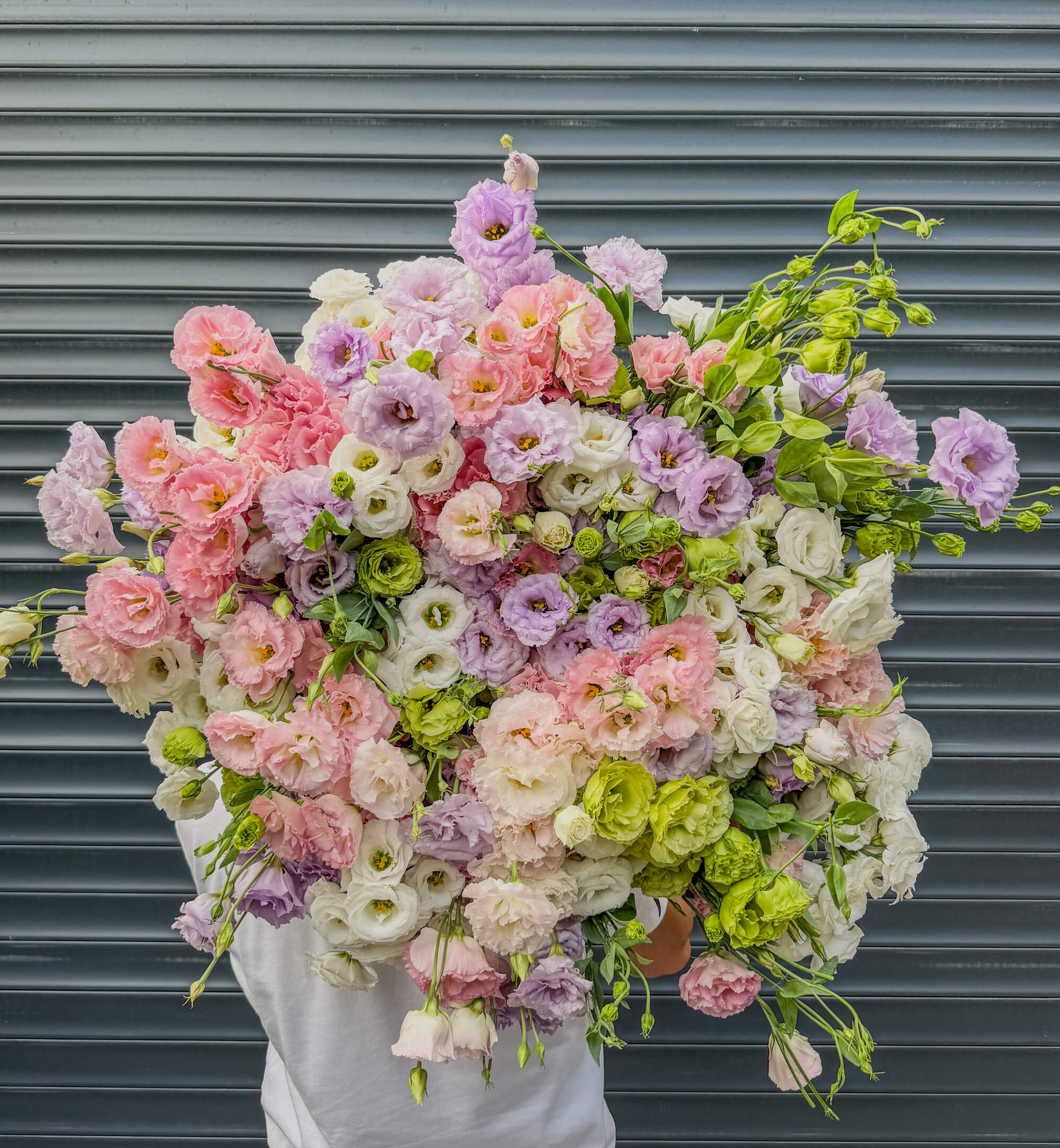 Лизиантусы микс: большой букет из 4 ярких оттенков - Image 1 of 1 | Flowers Theory